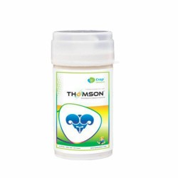 CROP CHEMICALS THOMSON Thiamethoxam 25% WG Broad Spectrum Systemic Insecticide(THOMSON100gm)